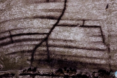 DJI_0022